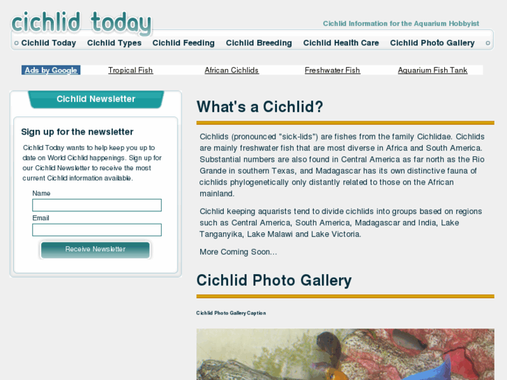 www.cichlidtoday.com