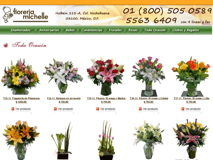 www.floreriamichelle.com