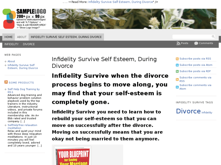 www.infidelitysurvive.com