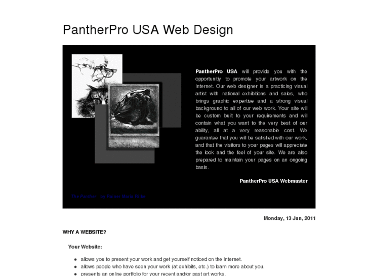 www.pantherpro-webdesign.com