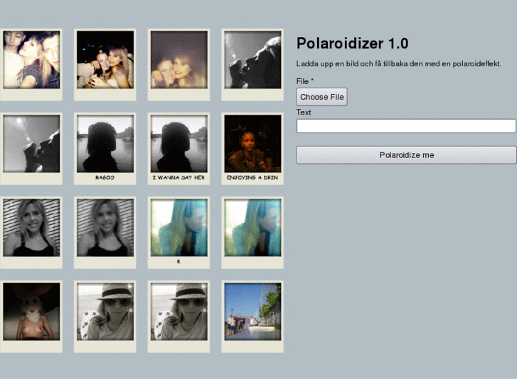 www.polaroidizer.com