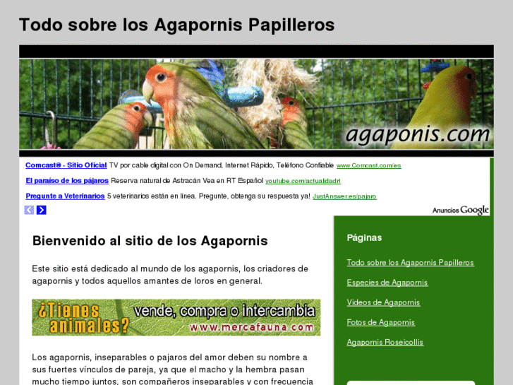 www.agaponis.com