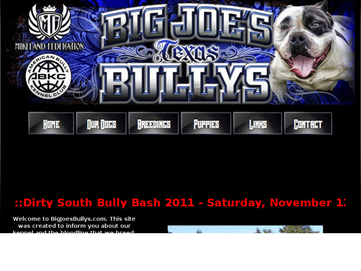 www.bigjoesbullys.com