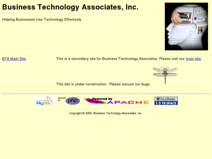 www.businesstechnologyassociates.net