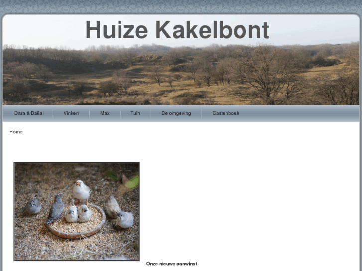 www.huizekakelbont.com