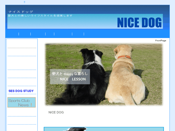 www.nice-dog.net