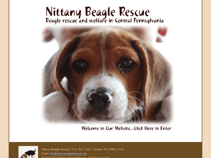 www.nittanybeaglerescue.org