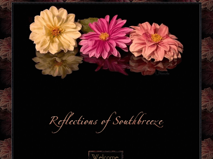 www.reflectionsofsouthbreeze.com