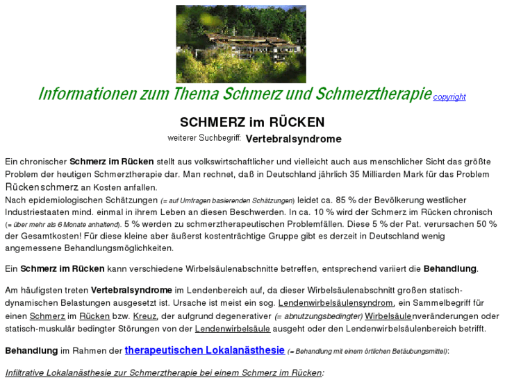 www.ruecken-schmerz-behandlung.de