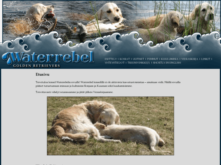 www.waterrebel.com