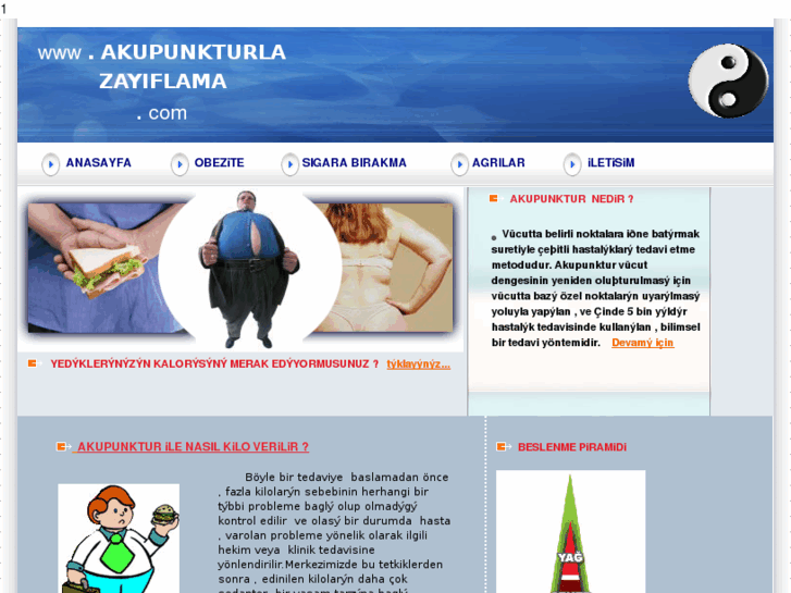 www.akupunkturlazayiflama.com