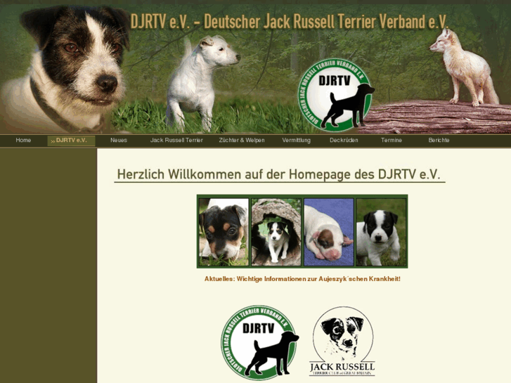 www.british-jack-russell-terrier-verein.de