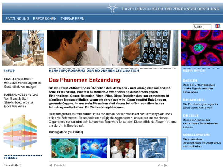 www.inflammation-at-interfaces.de