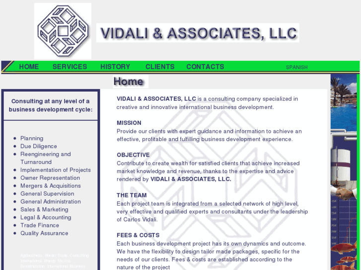 www.vidaliassociates.com