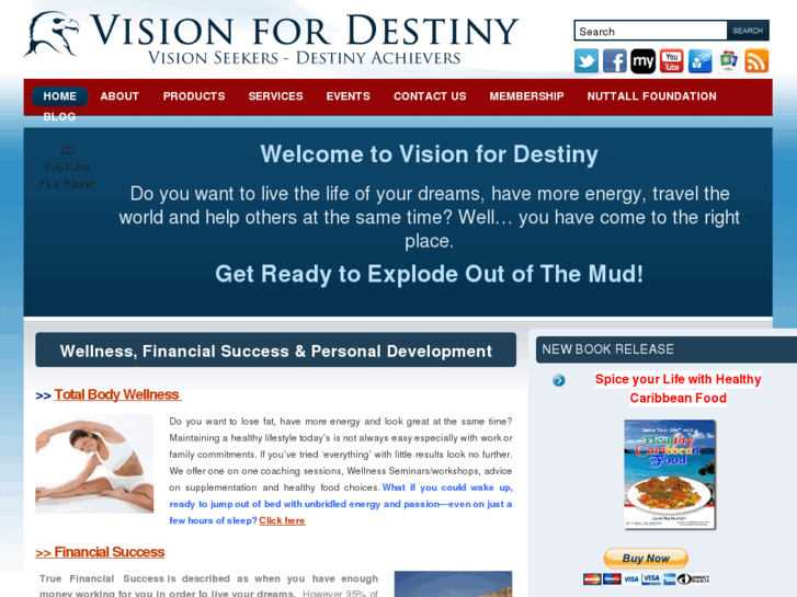 www.visionfordestiny.com