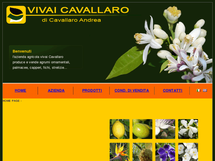 www.vivaicavallaro.it