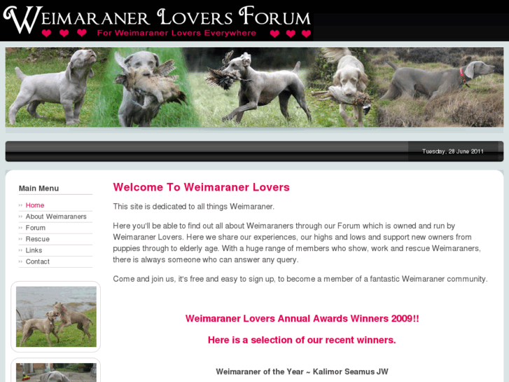 www.weimaranerforum.co.uk