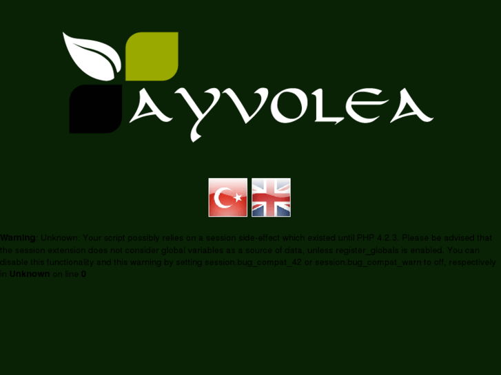 www.ayolea.com