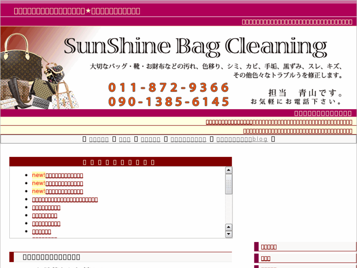 www.bag-cleaning.net