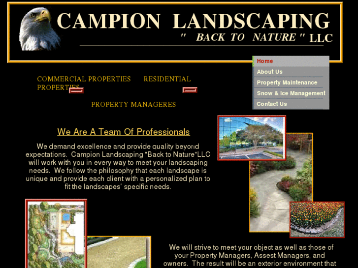 www.campionlandscaping.com