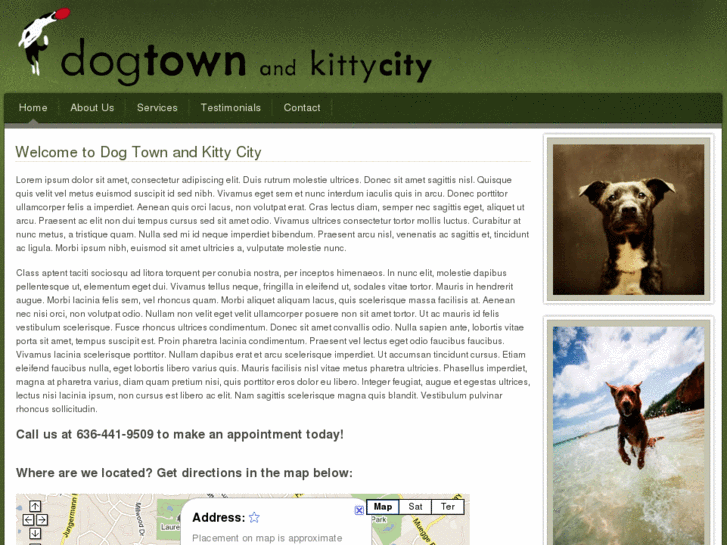 www.dogtownandkittycity.com