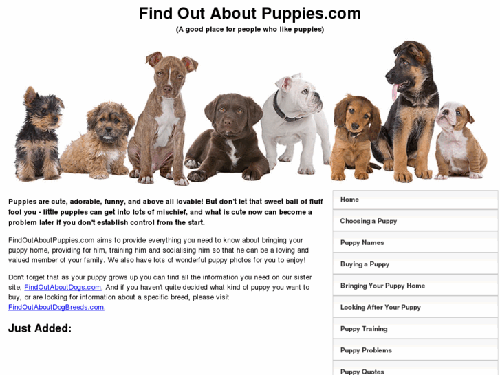 www.findoutaboutpuppies.com