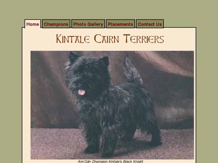 www.kintalecairnterriers.com