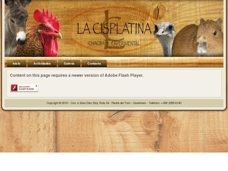 www.lacisplatina.com