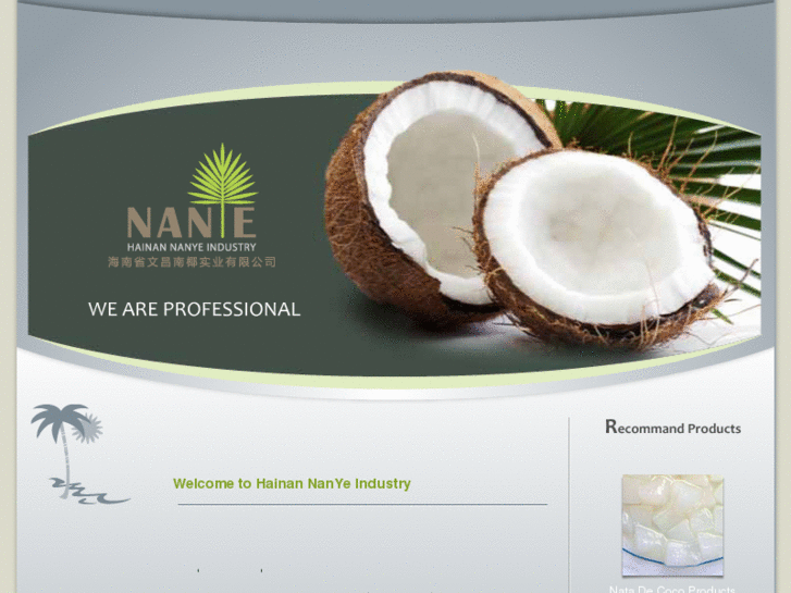 www.nanye.com