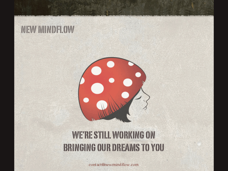 www.newmindflow.info