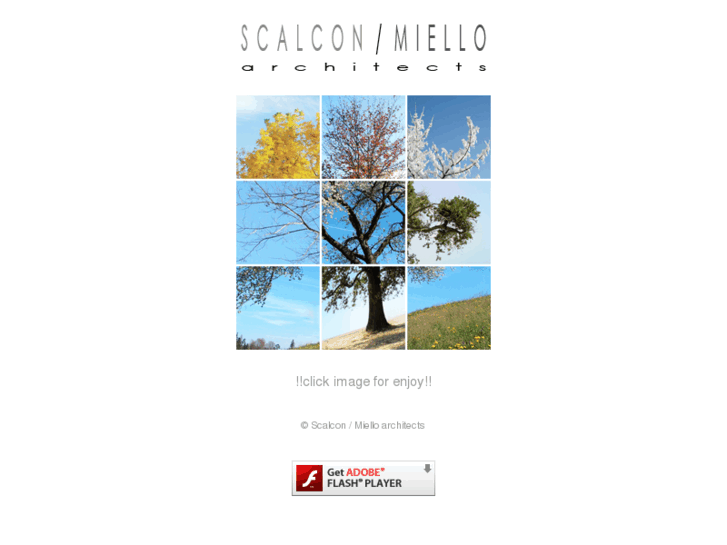 www.scalconmiello.net