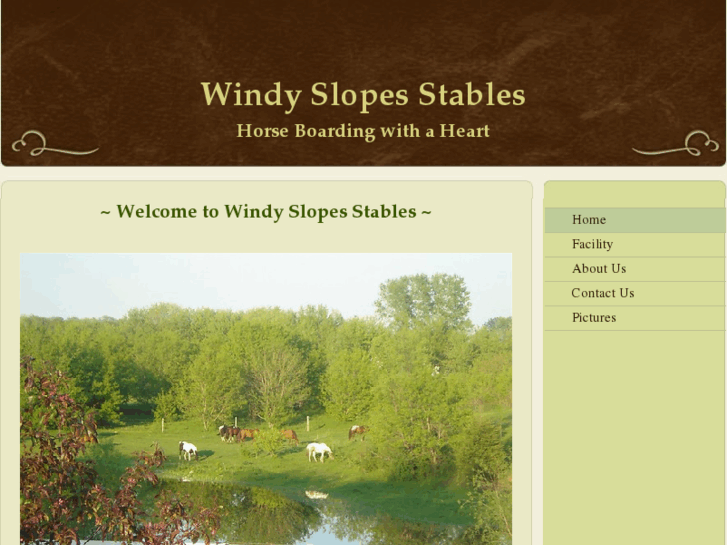 www.windyslopesstables.com