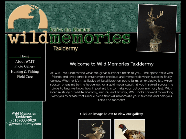 www.wmtaxidermy.com