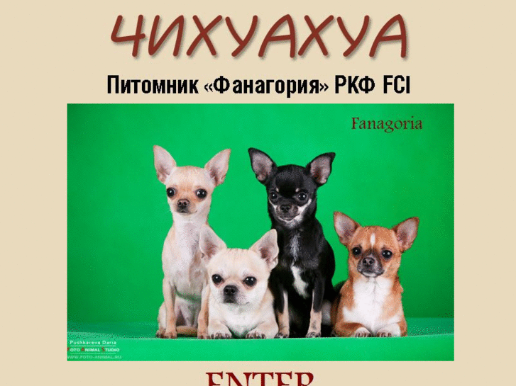 www.dogfanagoria.ru