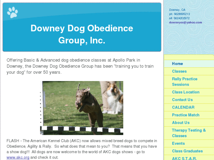 www.downeydogobedience.org