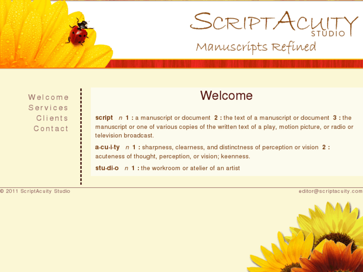 www.scriptacuity.com