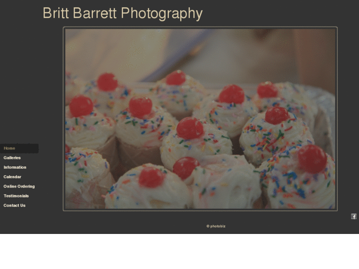 www.brittbarrettphotography.com