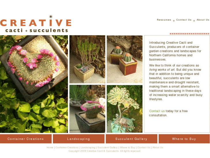 www.creativecacti.com