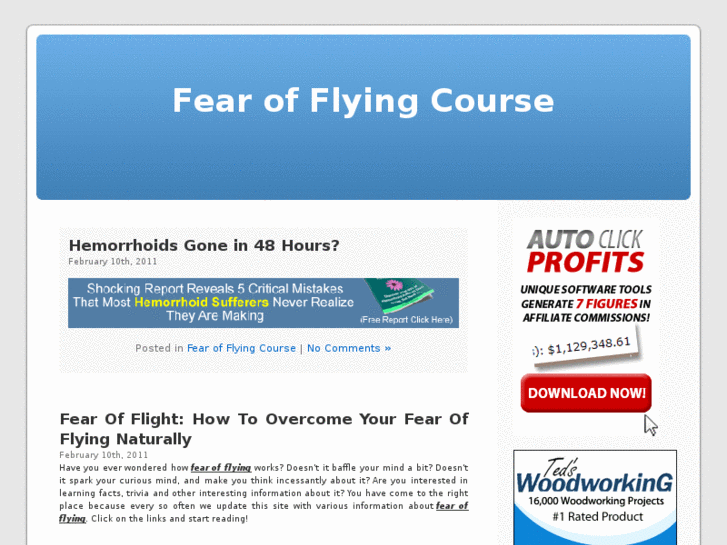 www.fearofflyingcourse.com