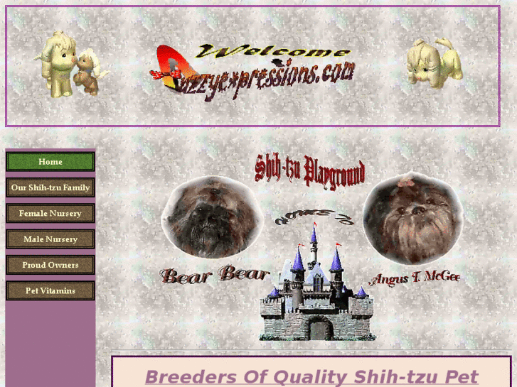 www.fuzzyexpressions.com