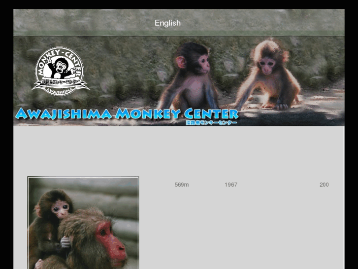 www.monkey-center.com