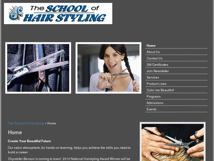 www.theschoolofhairstyling.com