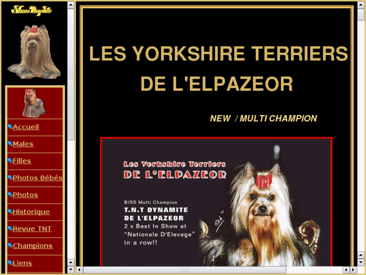 www.yorkshire-elpazeor.com