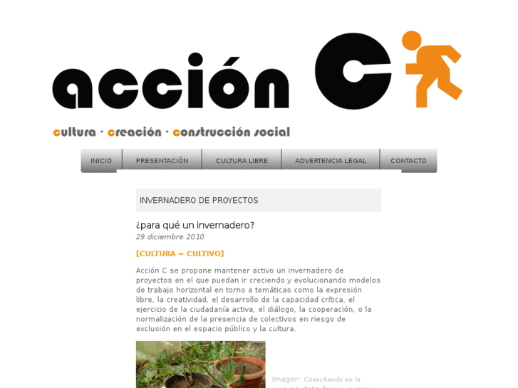 www.accionc.org