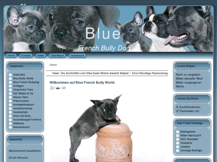 www.blue-frenchbullydog.com