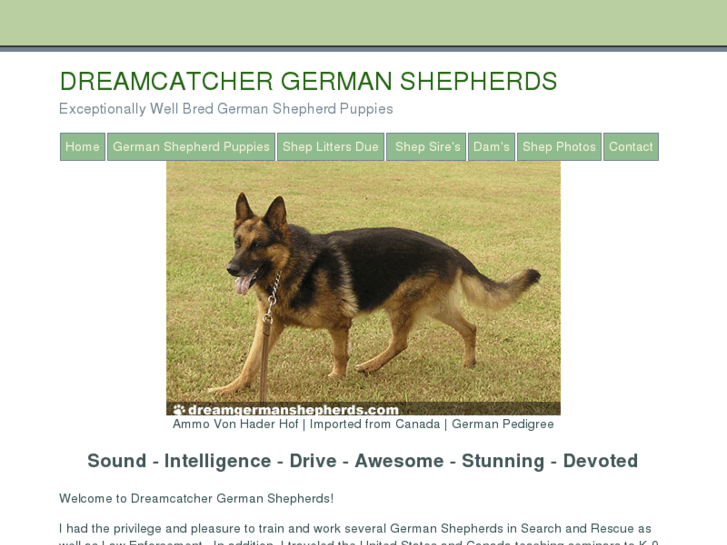 www.dreamgermanshepherds.com