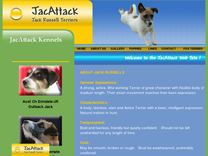 www.jacattack.net