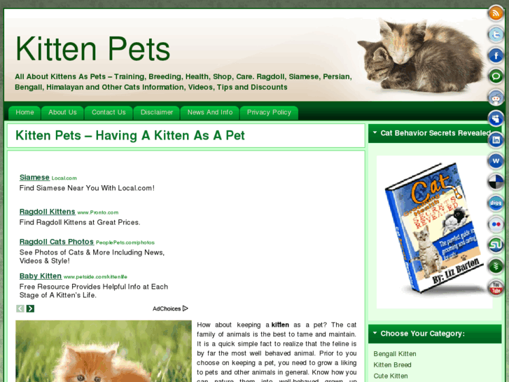 www.kittenpets.com