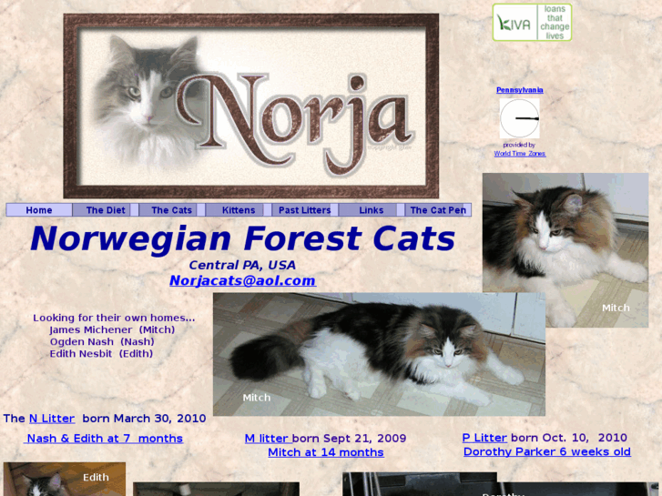 www.norjacats.com