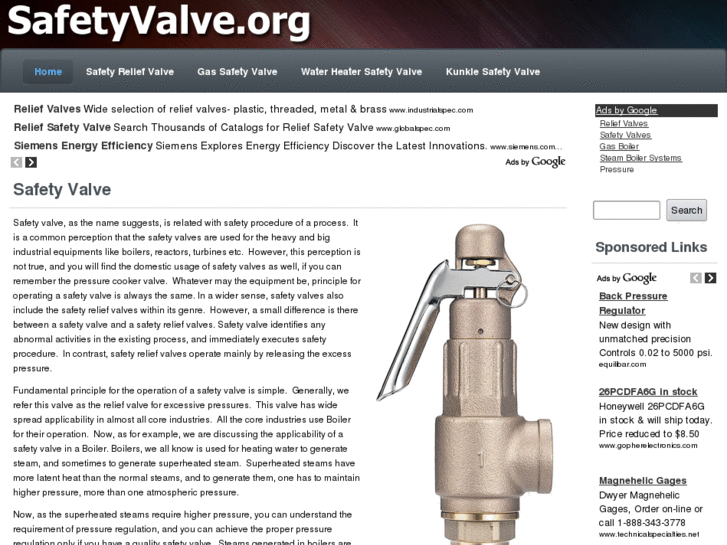 www.safetyvalve.org